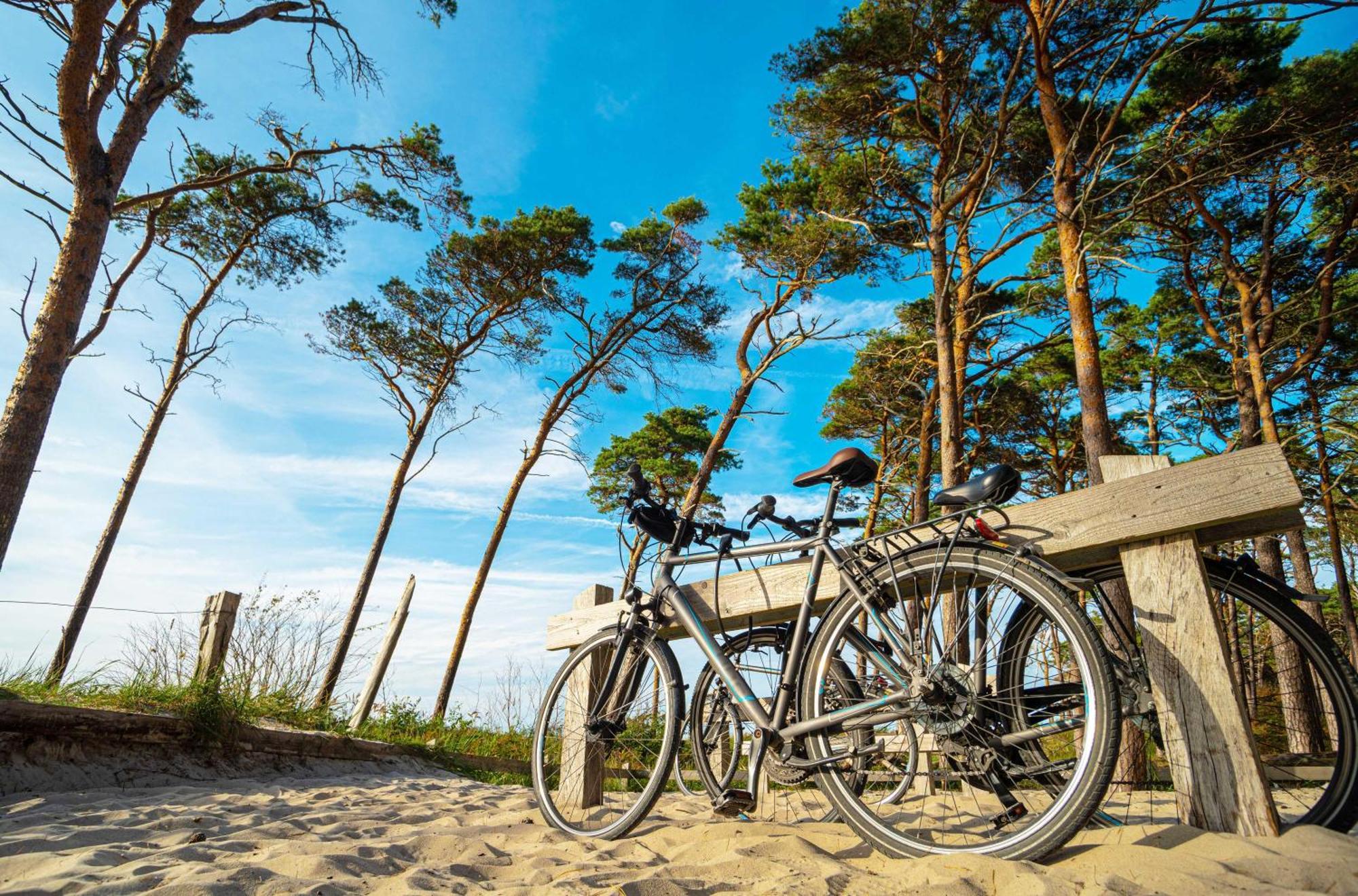 Strandhafer Ostseeheilbad Ostseeheilbad Zingst Exterior foto