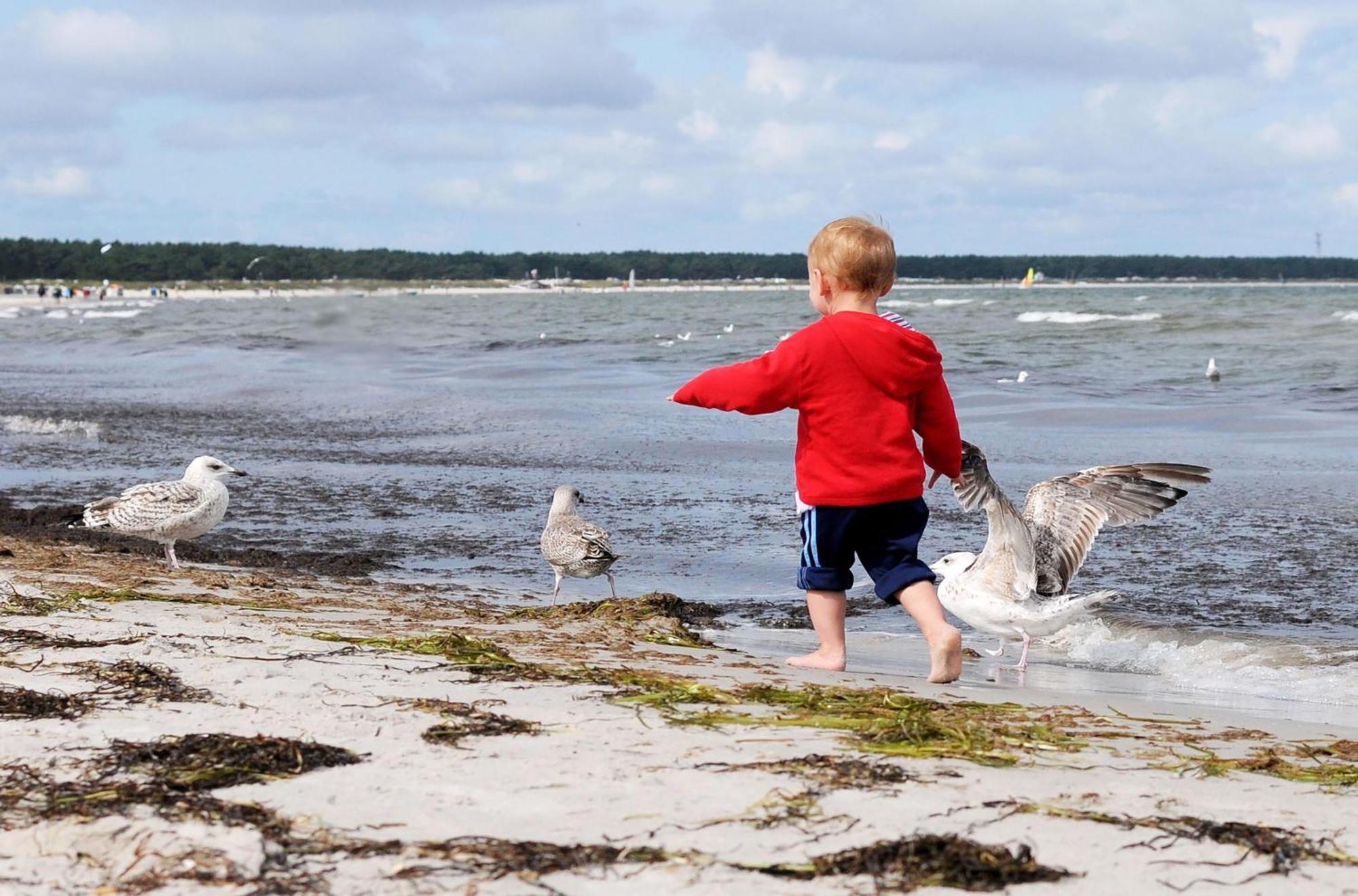 Strandhafer Ostseeheilbad Ostseeheilbad Zingst Exterior foto